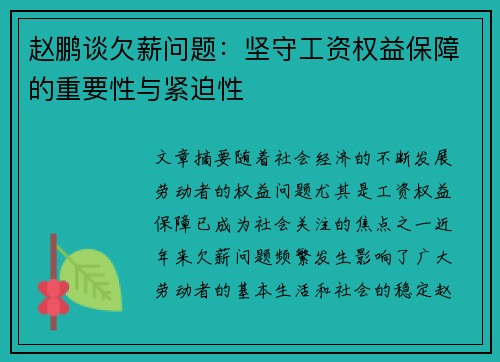 赵鹏谈欠薪问题：坚守工资权益保障的重要性与紧迫性